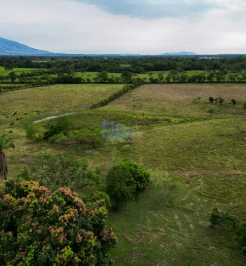 En venta finca de 22.5 hectáreas en Restrepo, Meta