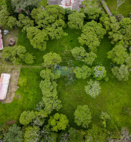 En Venta Finca de 21.200 metros en Cumaral – Meta