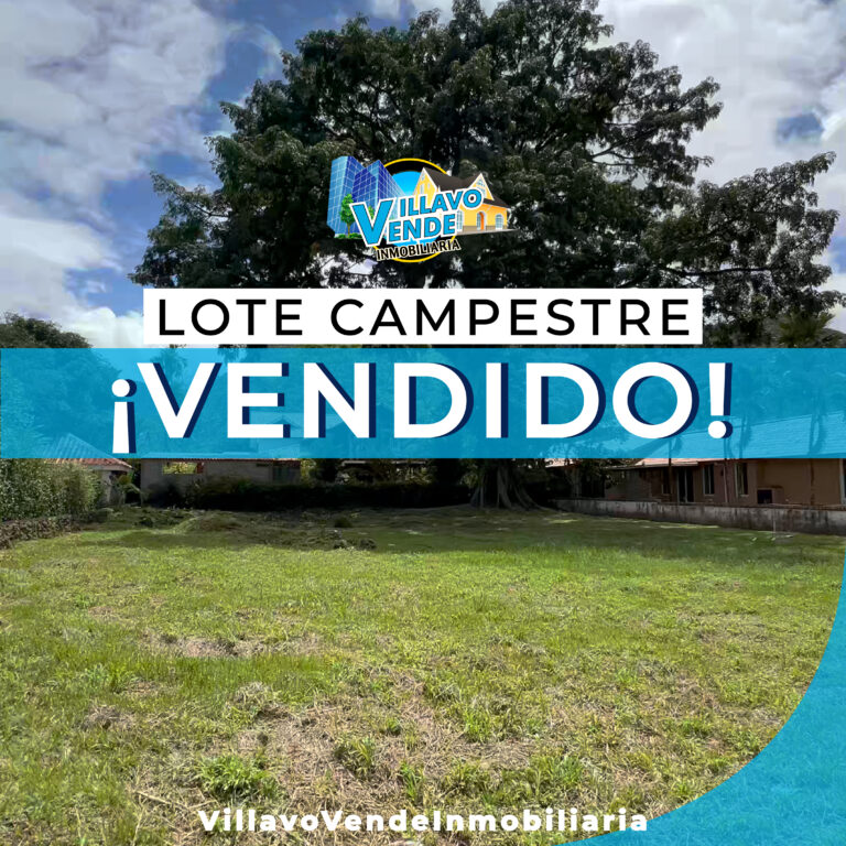 LOTE LA AURORA 310