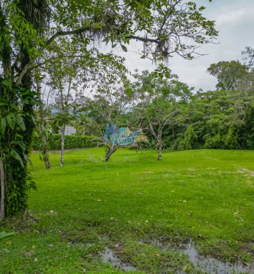 En Venta Lote Campestre en Condominio Hacienda La Primavera – Cairo