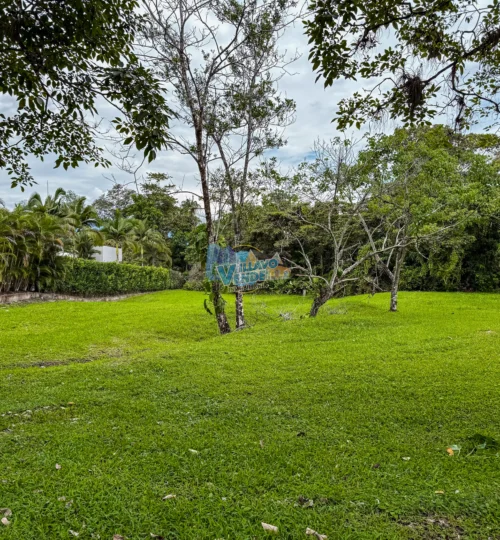 En Venta Lote Campestre en Condominio Hacienda La Primavera – Cairo