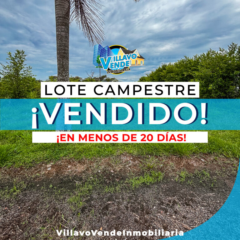 LOTE LOS ANDES 205