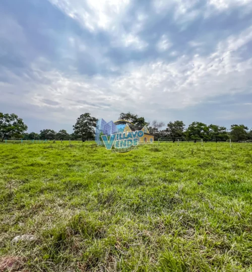 Lote Plano en Reservas del Morichal Villavicencio (Apiay)
